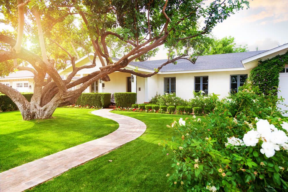 A welcoming garden path with soft greenery and filtered light